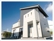 N�l�@�{�H���Ⴡ�C��